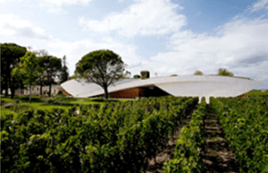Burdigala Wine Yard